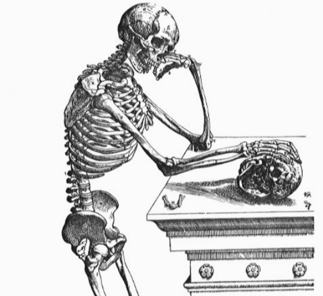 C55a2ca5 babe 4b4a bcee 6a9652d29fce.jpeg?ixlib=rails 2.1