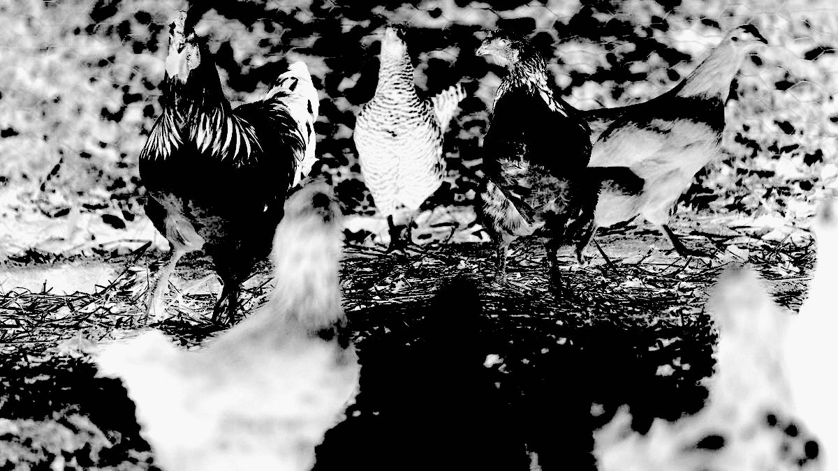 B9322584171z.1 20160614212432 000 g6femq13o.3 0.jpg?ixlib=rails 2.1