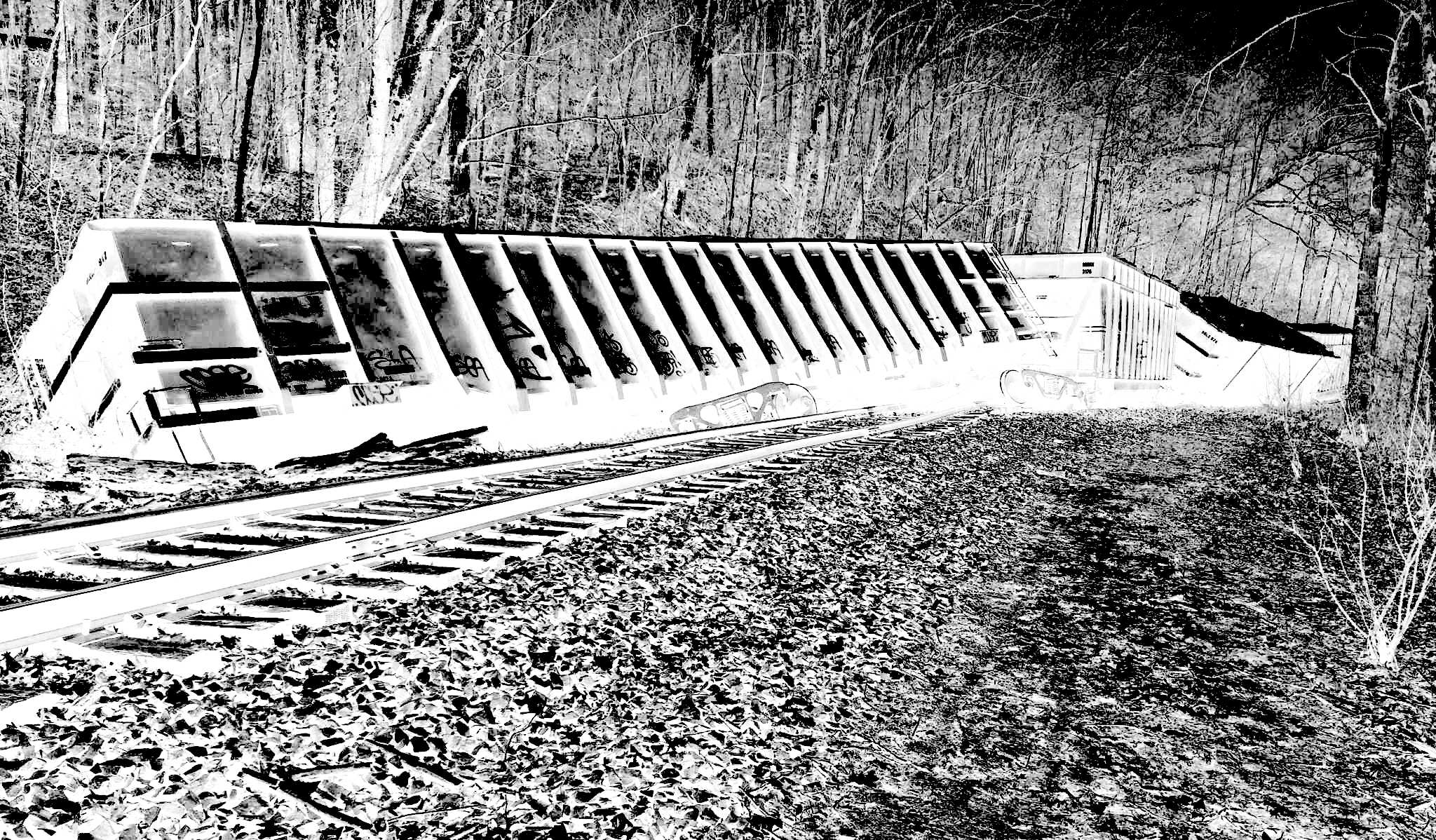 Rawimage 4.jpg?ixlib=rails 2.1