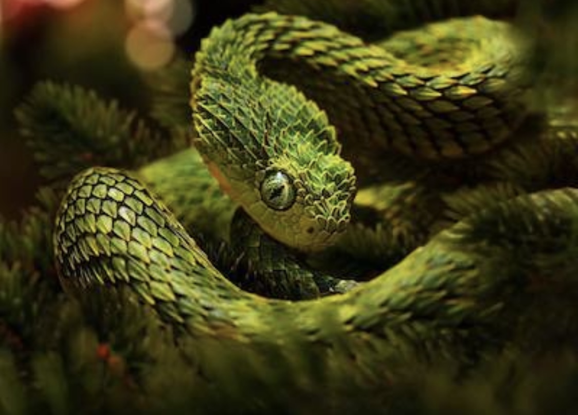 A1db1429 f9a8 482f ae05 f046bc80c73c.jpeg?ixlib=rails 2.1