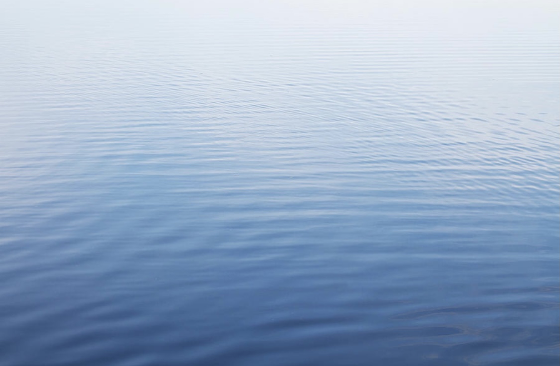 1141a630 6fa9 49e3 a3b1 aafdadf1ab57.jpeg?ixlib=rails 2.1