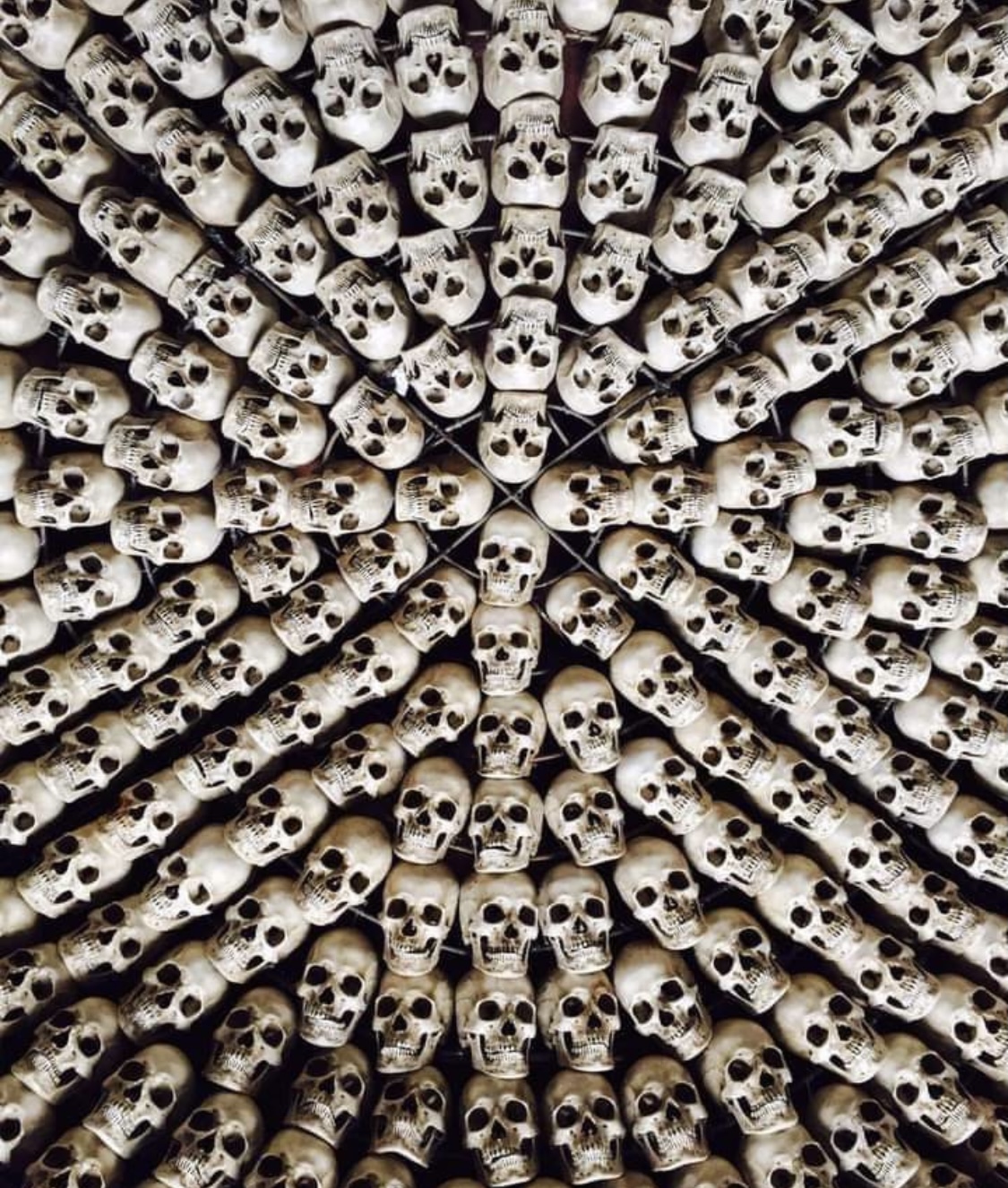 Cb52d8f0 5c73 4268 8745 3c56a375f57d.jpeg?ixlib=rails 2.1