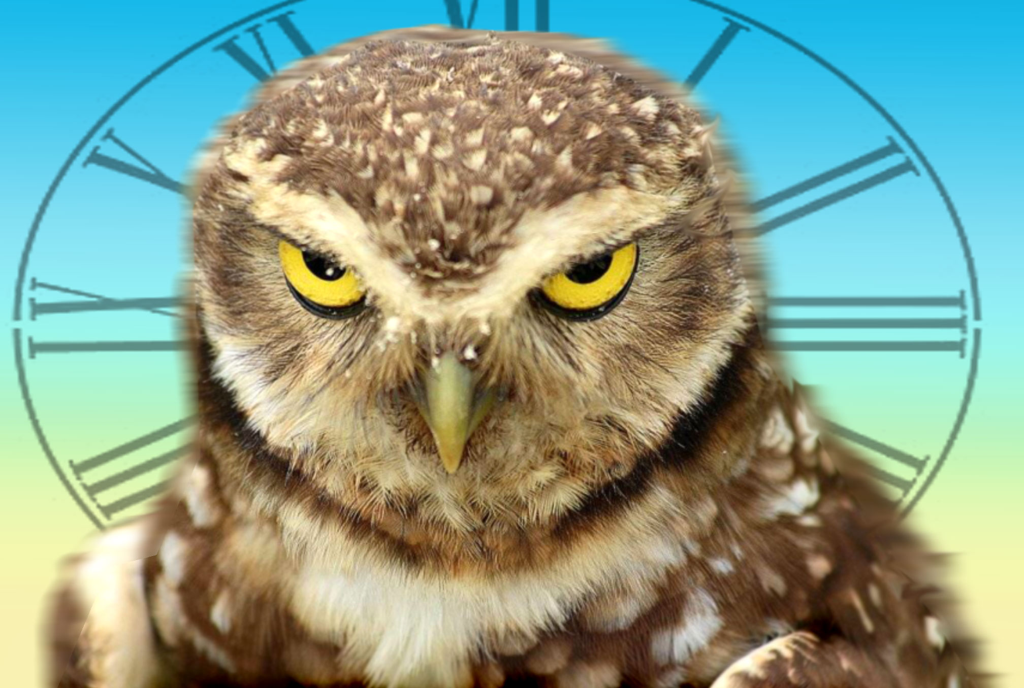 Patience.art.jpg?ixlib=rails 2.1