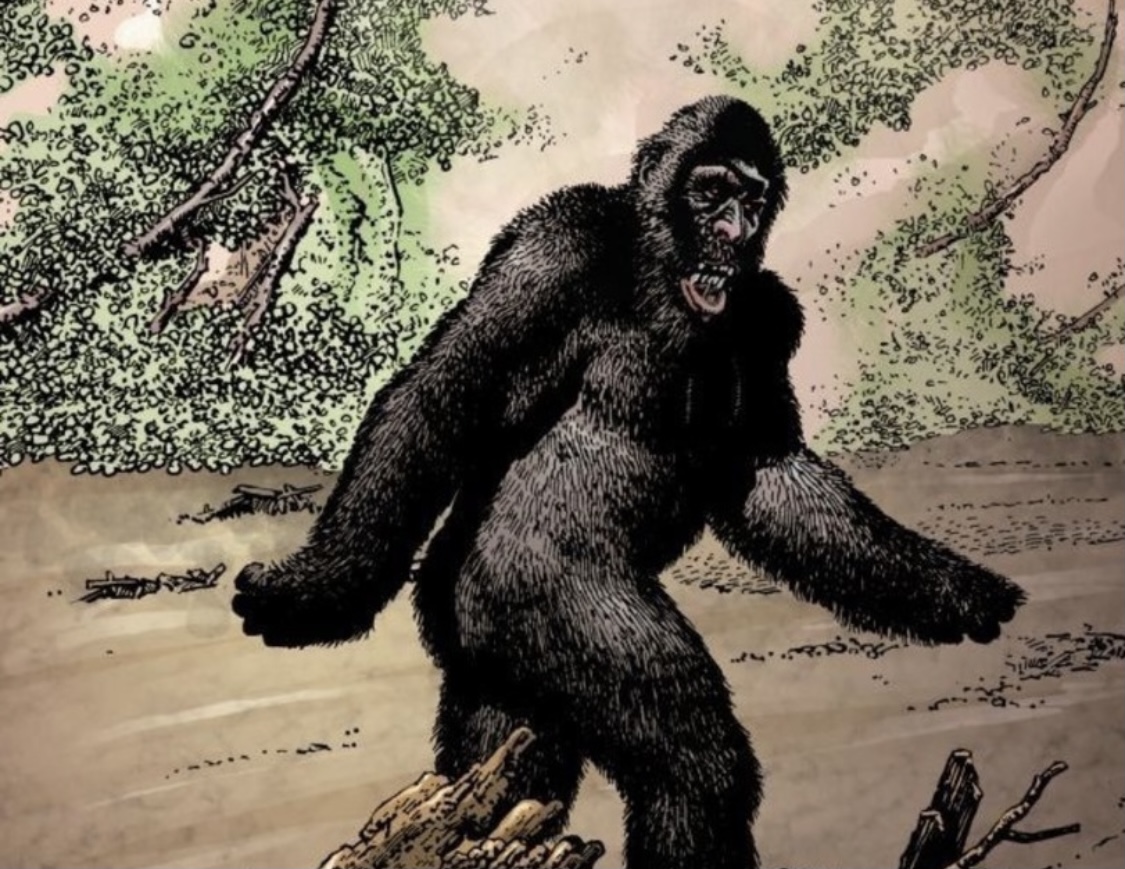 9bb4b393 607b 4662 b37c a1ca7d2bf591.jpeg?ixlib=rails 2.1