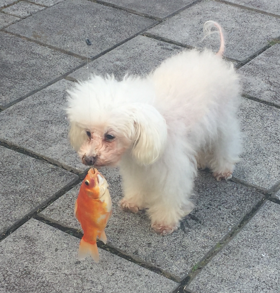 Image1 1.png?ixlib=rails 2.1