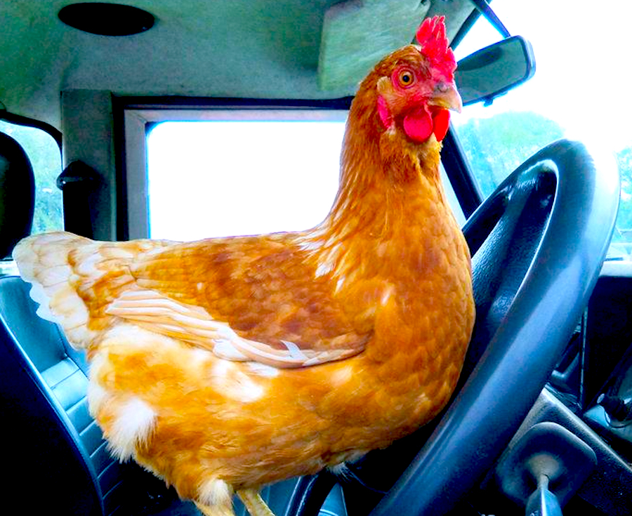 Rq 8 20 21.jpg?ixlib=rails 2.1