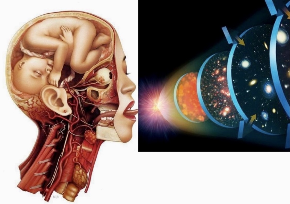 3e980e28 b523 448b b591 cf56f914d950.jpeg?ixlib=rails 2.1