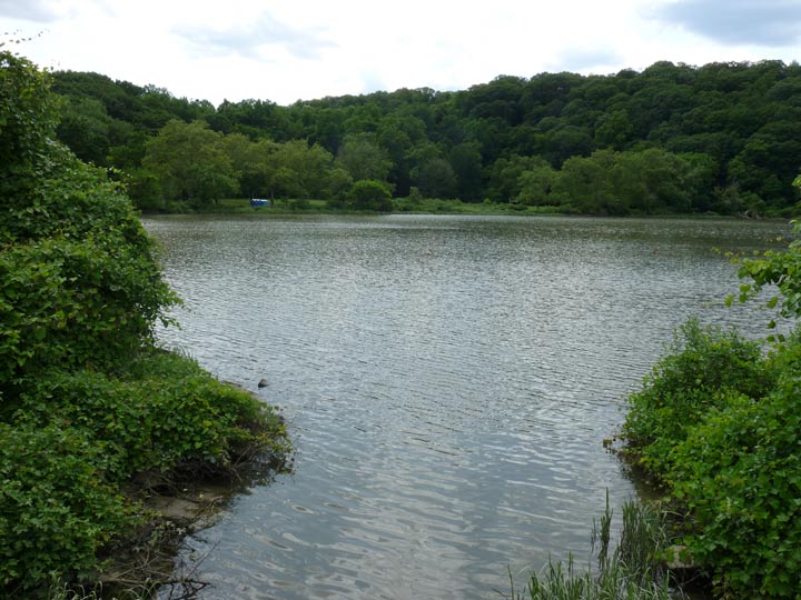 Inwood hill park.jpg?ixlib=rails 2.1