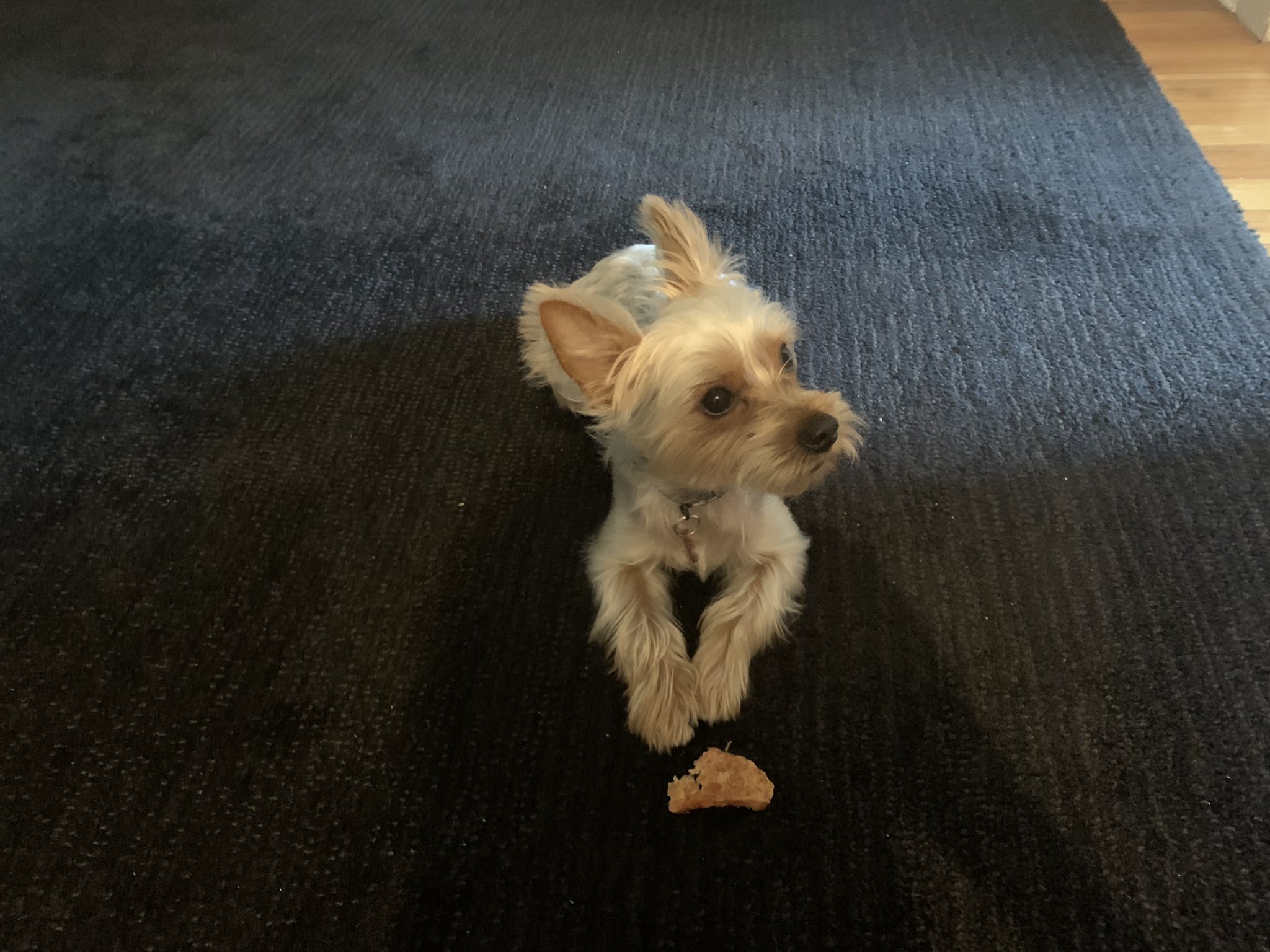 Lge bwod.jpg large.jpeg?ixlib=rails 2.1