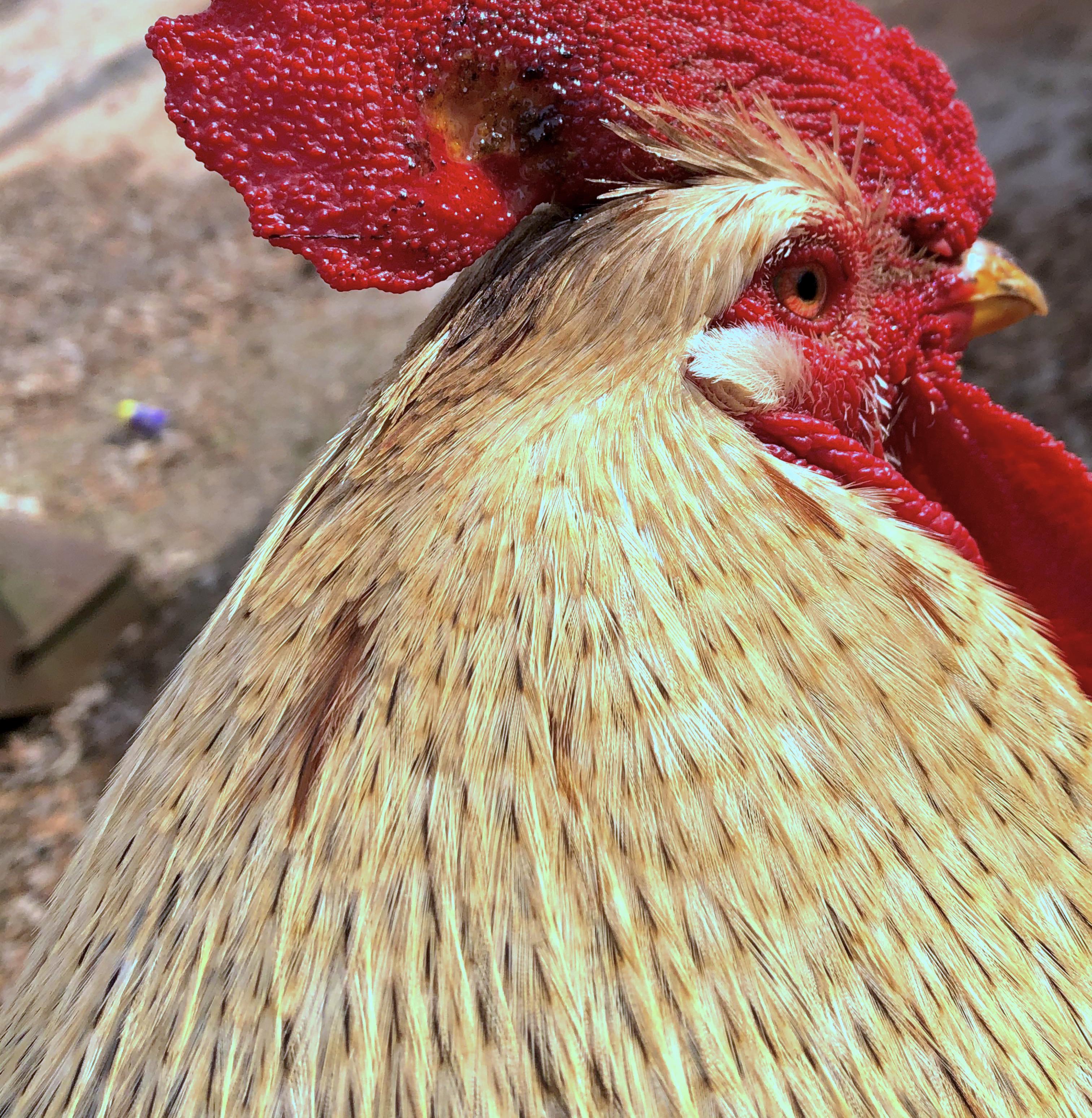 Mo1tmrzkune61.jpg?ixlib=rails 2.1