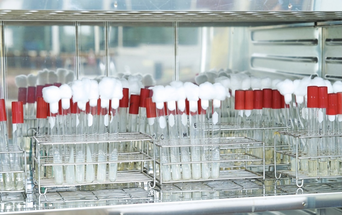 7ce0e76a 3471 420c 83c3 74a8c57df815.jpeg?ixlib=rails 2.1