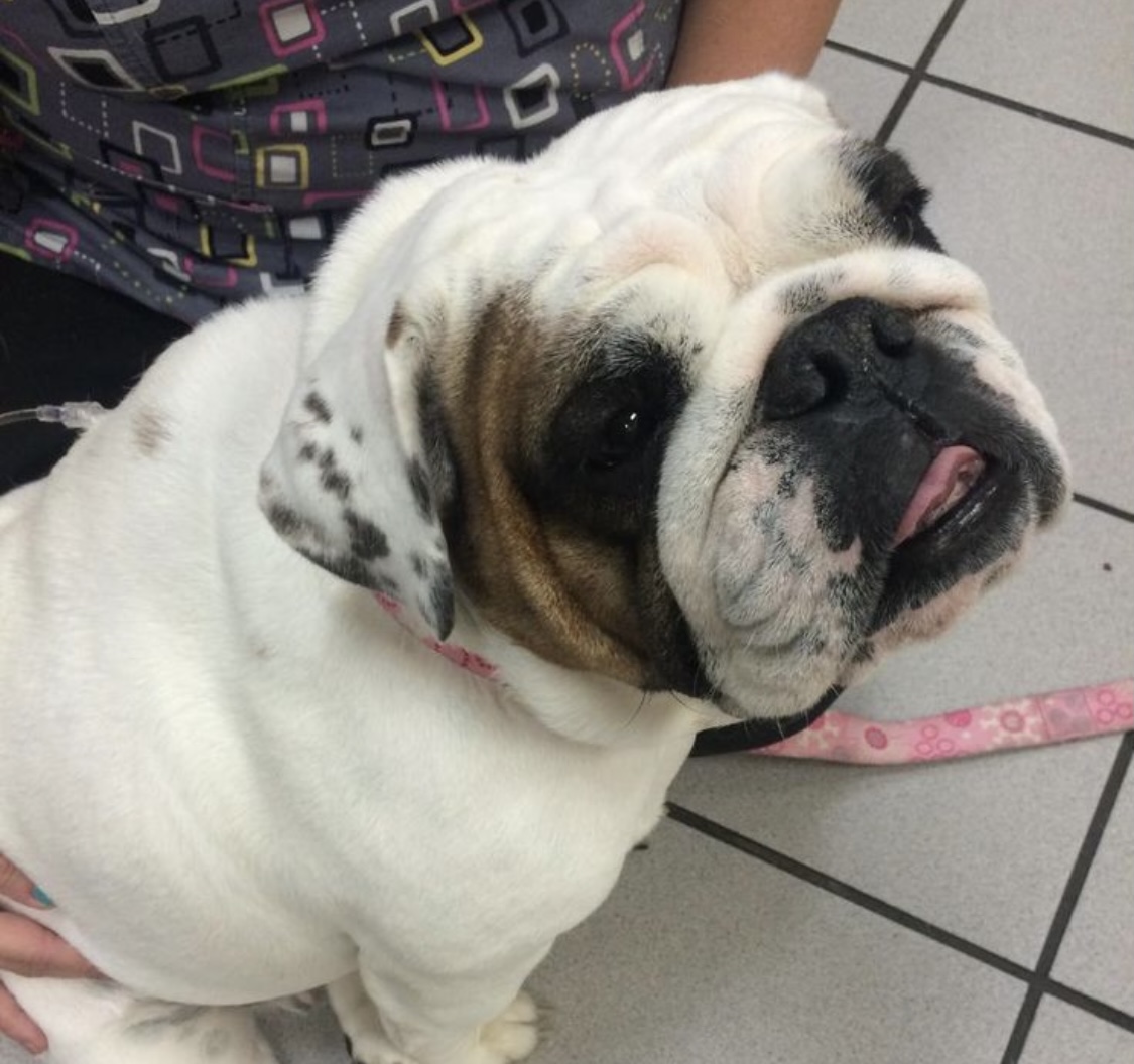 D160c9a2 dcd6 4ffe ae83 e1d67e24a9ea.jpeg?ixlib=rails 2.1