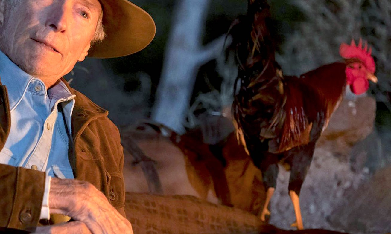 Image 10.jpeg?ixlib=rails 2.1