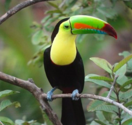 Screen shot 2021 09 27 at 9.46.21 pm.png?ixlib=rails 2.1