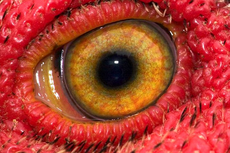 E5251bb67126e1cddcf49732c2becfe7.jpg?ixlib=rails 2.1