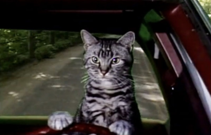 Eab1ee1e 5886 44af bfd9 063d5c936cef.jpeg?ixlib=rails 2.1