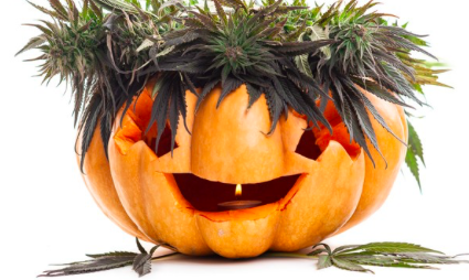 Screen shot 2021 10 28 at 5.14.49 pm.png?ixlib=rails 2.1