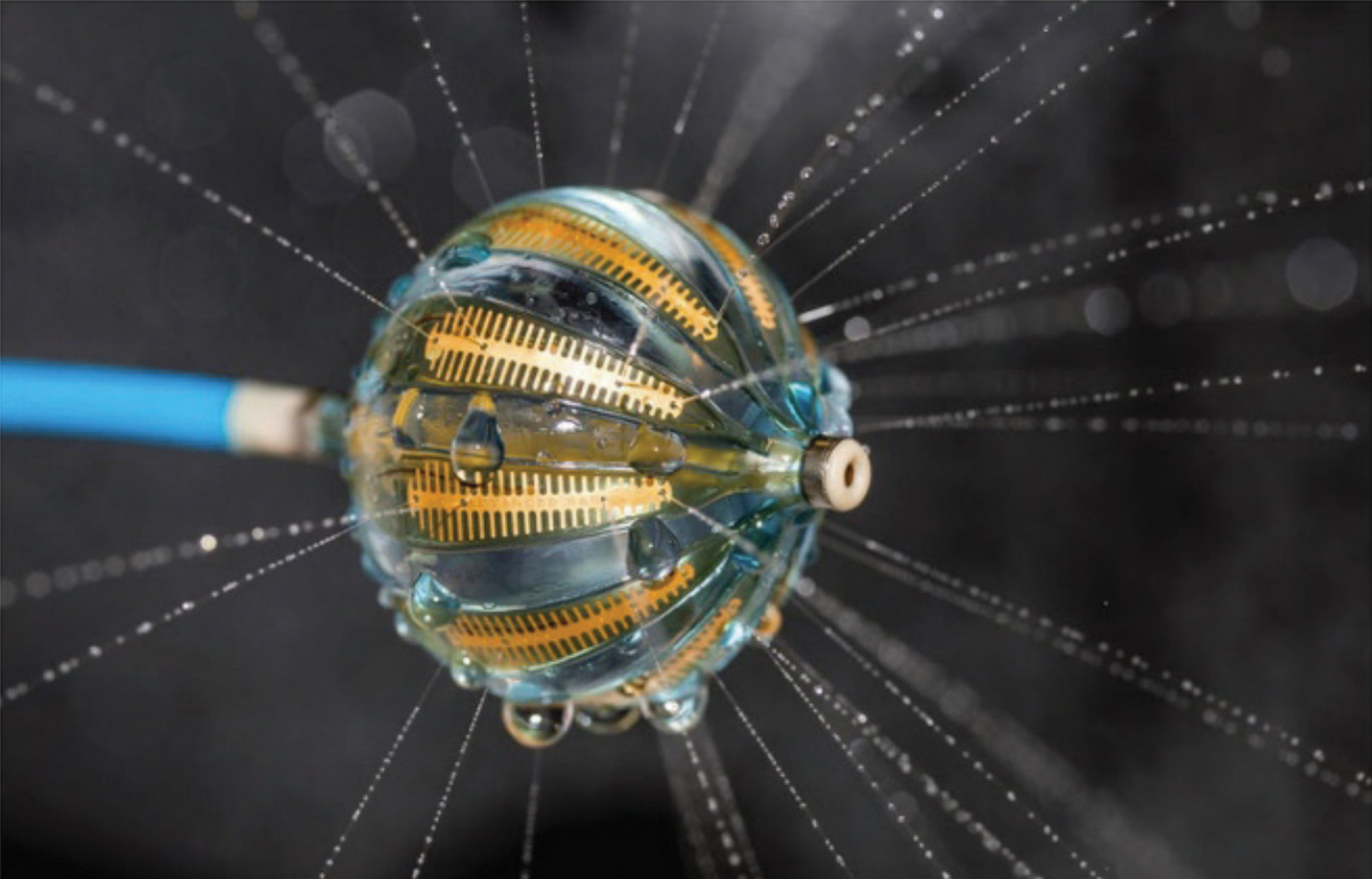 X0000 biosense webster multielectrode rf ablation balloon hrs17 0.jpg?ixlib=rails 2.1