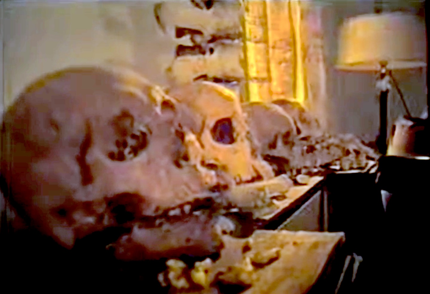 Ttcsm skulls.jpeg?ixlib=rails 2.1