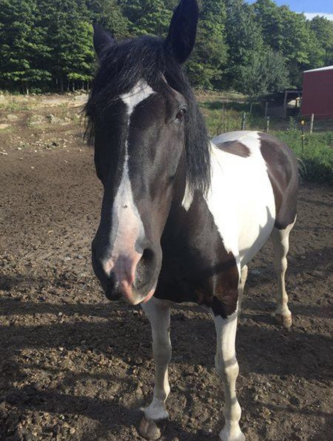 D24c2512 5c3d 4122 8479 253a7a0fa838.jpeg?ixlib=rails 2.1