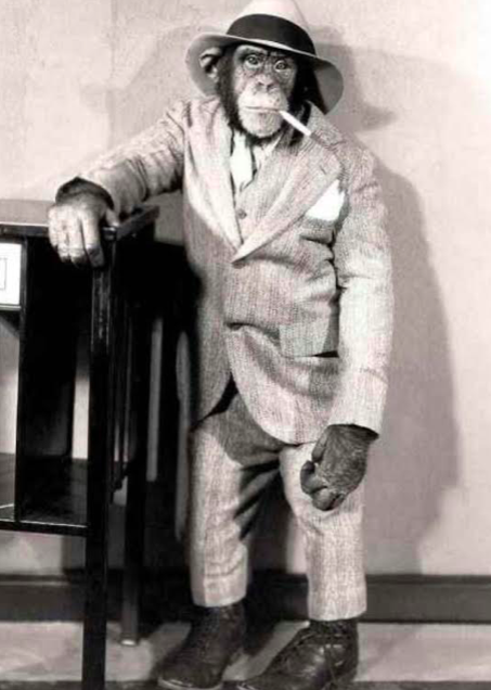 Screen shot 2021 11 01 at 8.44.36 pm.png?ixlib=rails 2.1