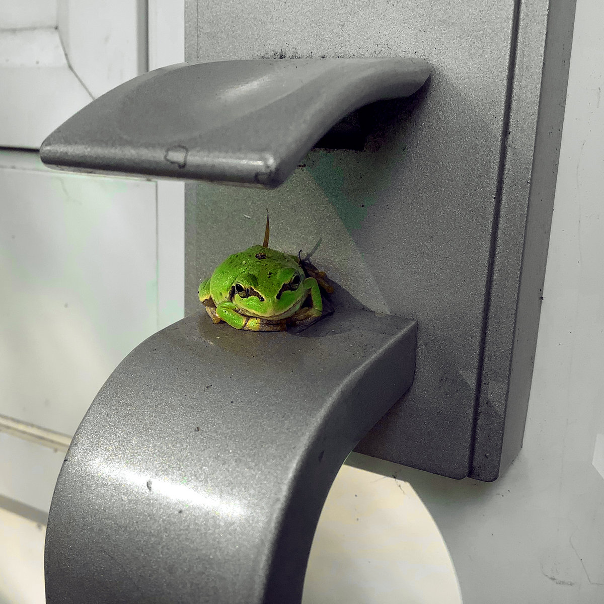 A0137536502 10.jpg?ixlib=rails 2.1