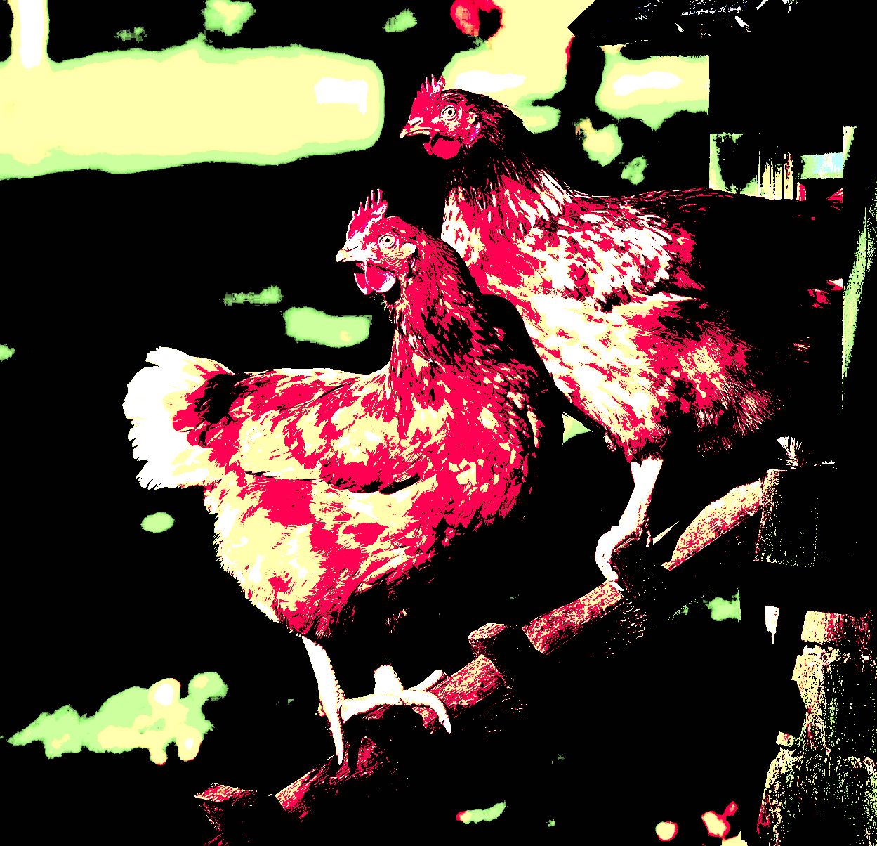 Gettyimages 155096602 1616700886.jpg?ixlib=rails 2.1