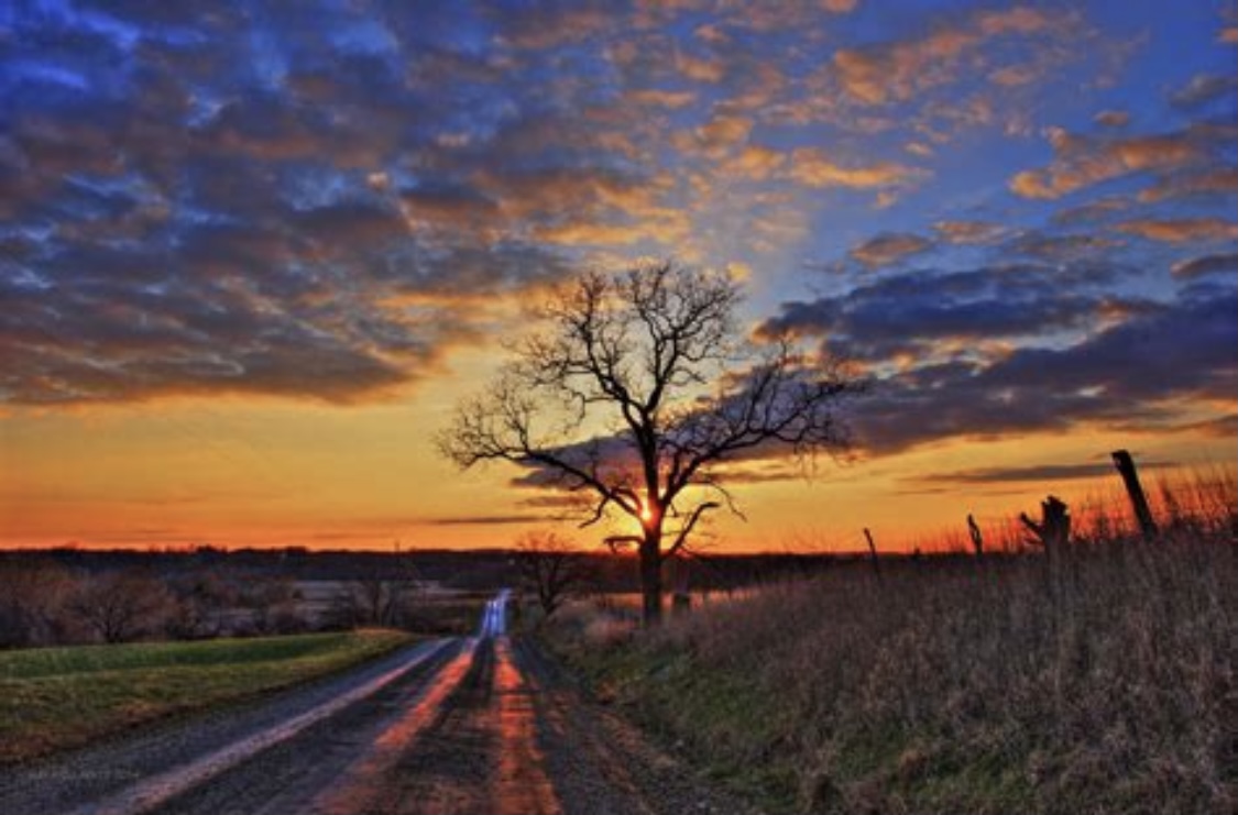 1d44b015 d8e3 4f22 ab15 f547d53118b8.jpeg?ixlib=rails 2.1