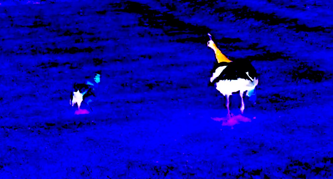 Maxresdefault 47.jpg?ixlib=rails 2.1