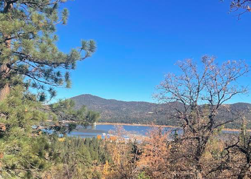 Screen shot 2021 11 18 at 10.28.46 pm.png?ixlib=rails 2.1