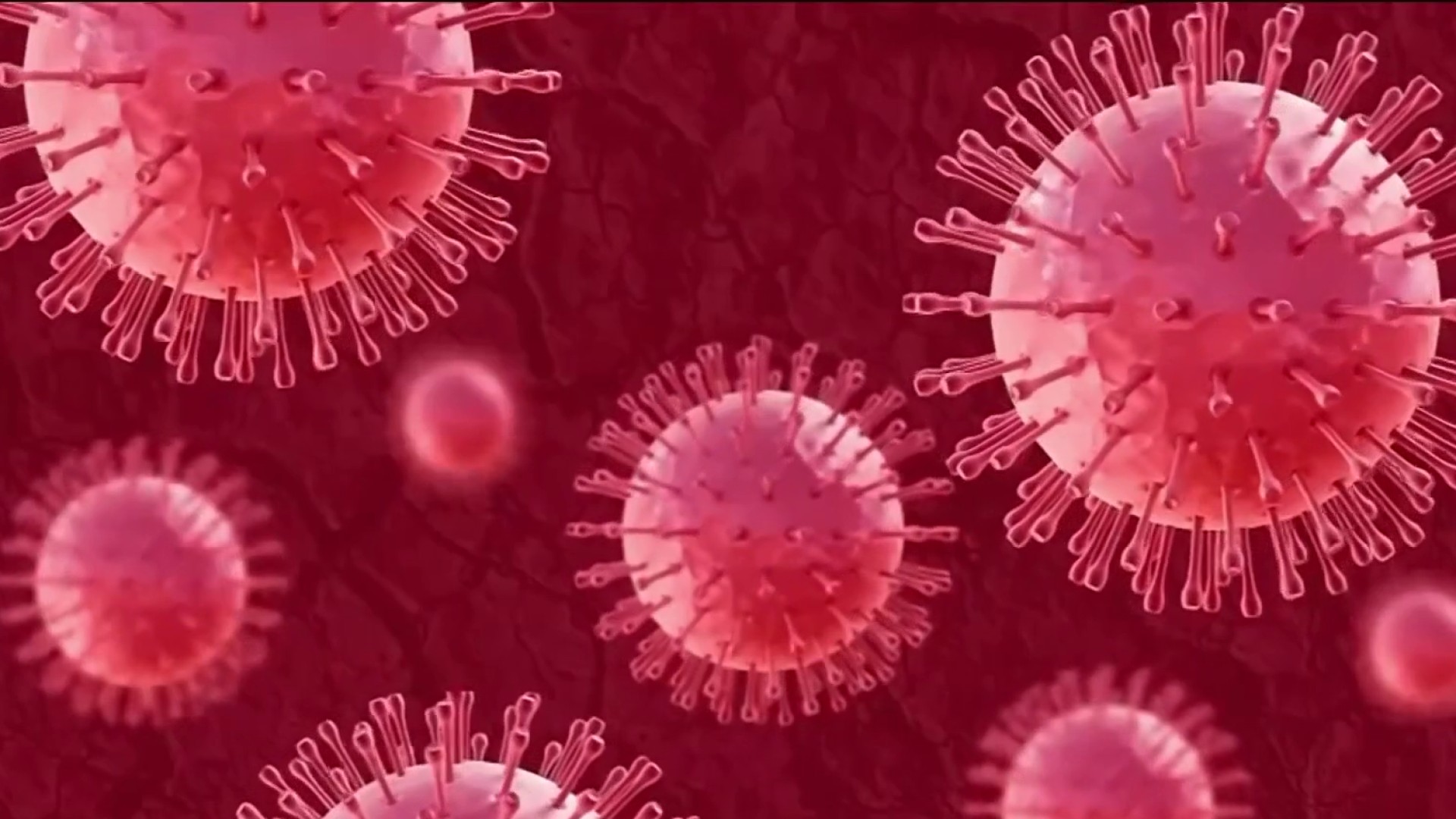 13482909693 1080pnbcstations.jpg?ixlib=rails 2.1