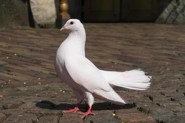 Screen shot 2021 12 07 at 6.05.25 pm.png?ixlib=rails 2.1