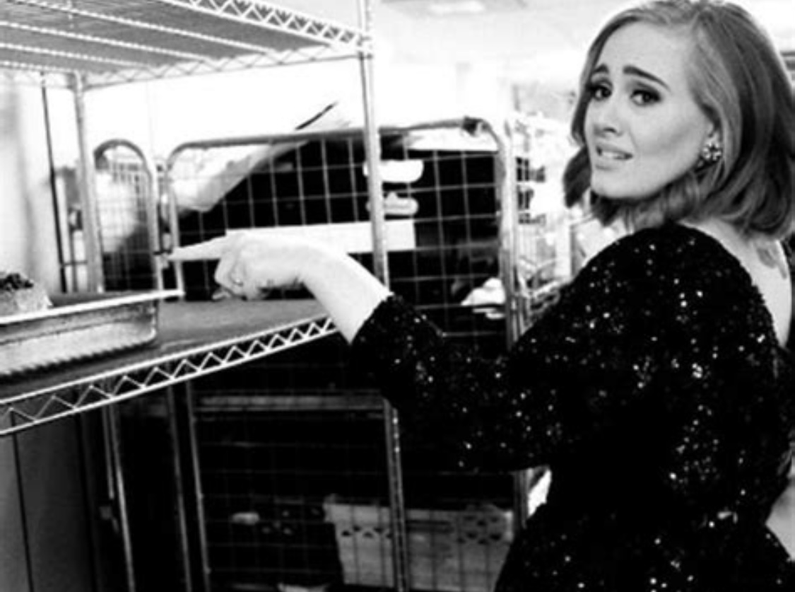 3af6b6a9 5c96 4a34 b6bc 0570983c8954.jpeg?ixlib=rails 2.1