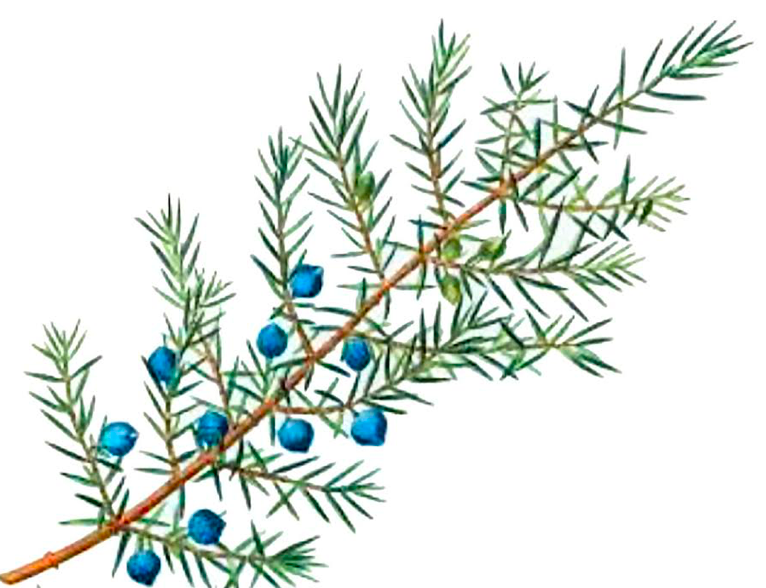 Screen shot 2021 12 15 at 6.16.15 pm.png?ixlib=rails 2.1