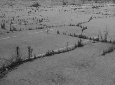 Screen shot 2021 12 29 at 10.04.40 pm.png?ixlib=rails 2.1