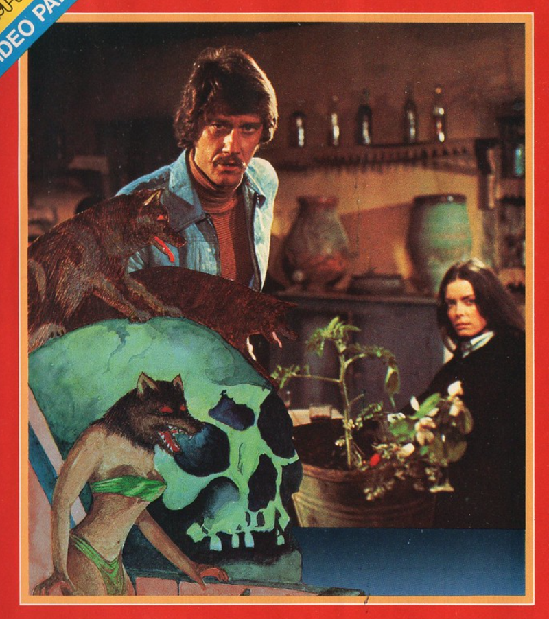 Screenshot 20211231 041220 2.png?ixlib=rails 2.1