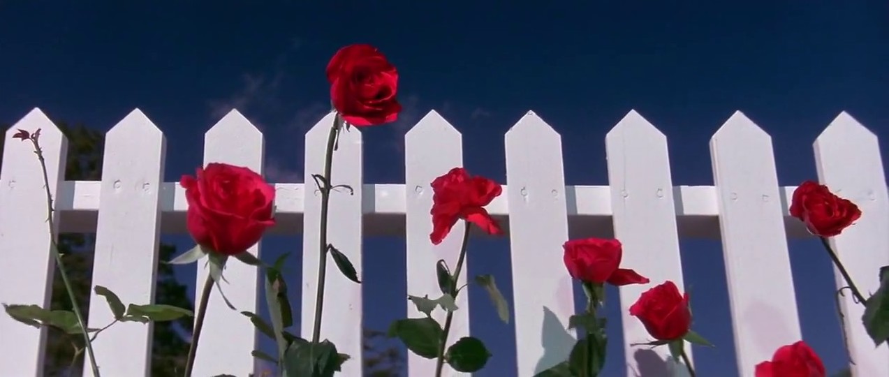 Maxresdefault 48.jpg?ixlib=rails 2.1