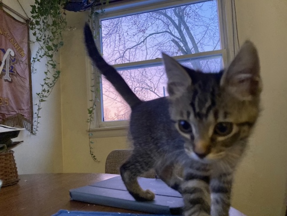 E1628f0e ab14 4432 8be2 6d709f154362.jpeg?ixlib=rails 2.1