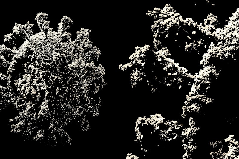 90 13.jpeg?ixlib=rails 2.1