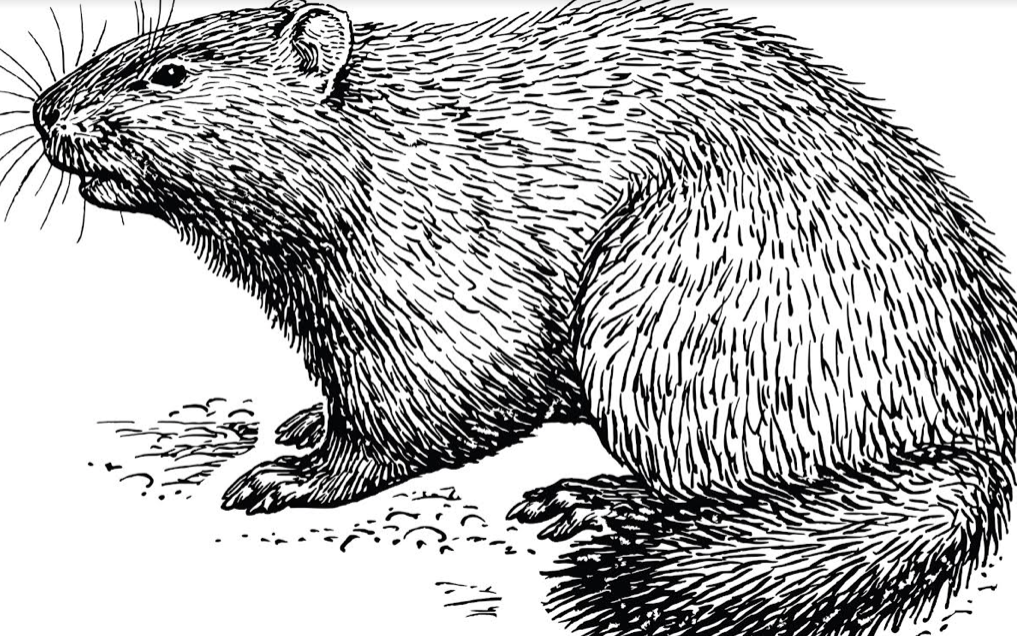 Screen shot 2022 02 07 at 8.47.06 pm.png?ixlib=rails 2.1