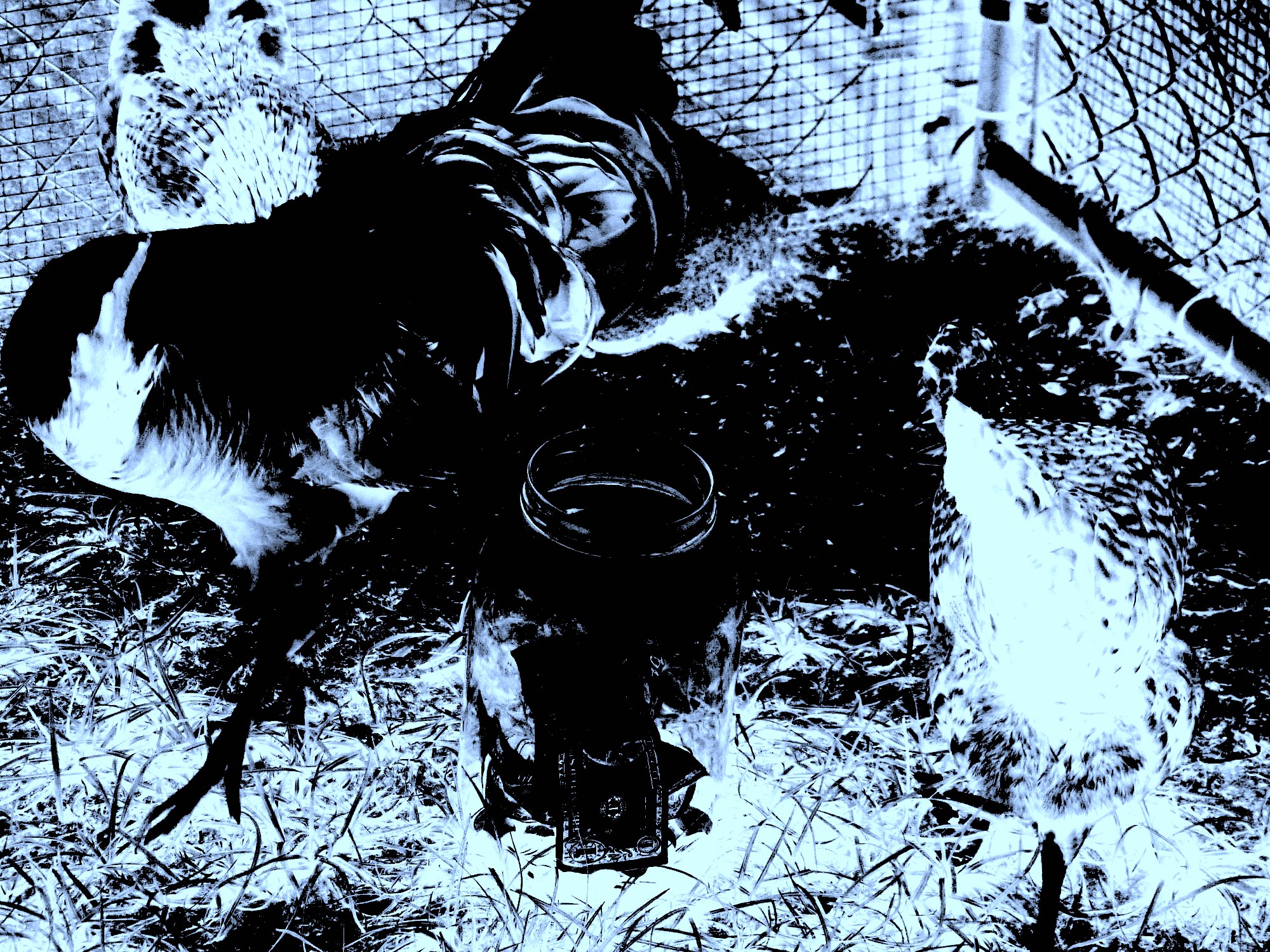 1000.jpg?ixlib=rails 2.1