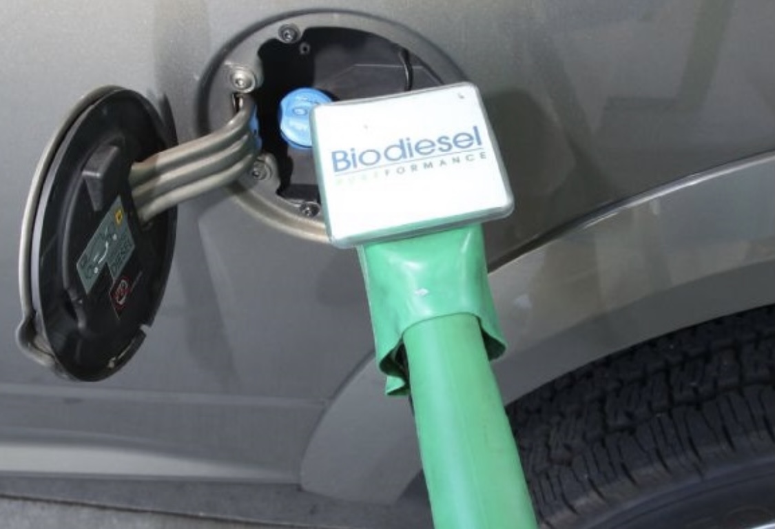 8e33f797 7823 48e8 91e2 67028366a8b8.jpeg?ixlib=rails 2.1