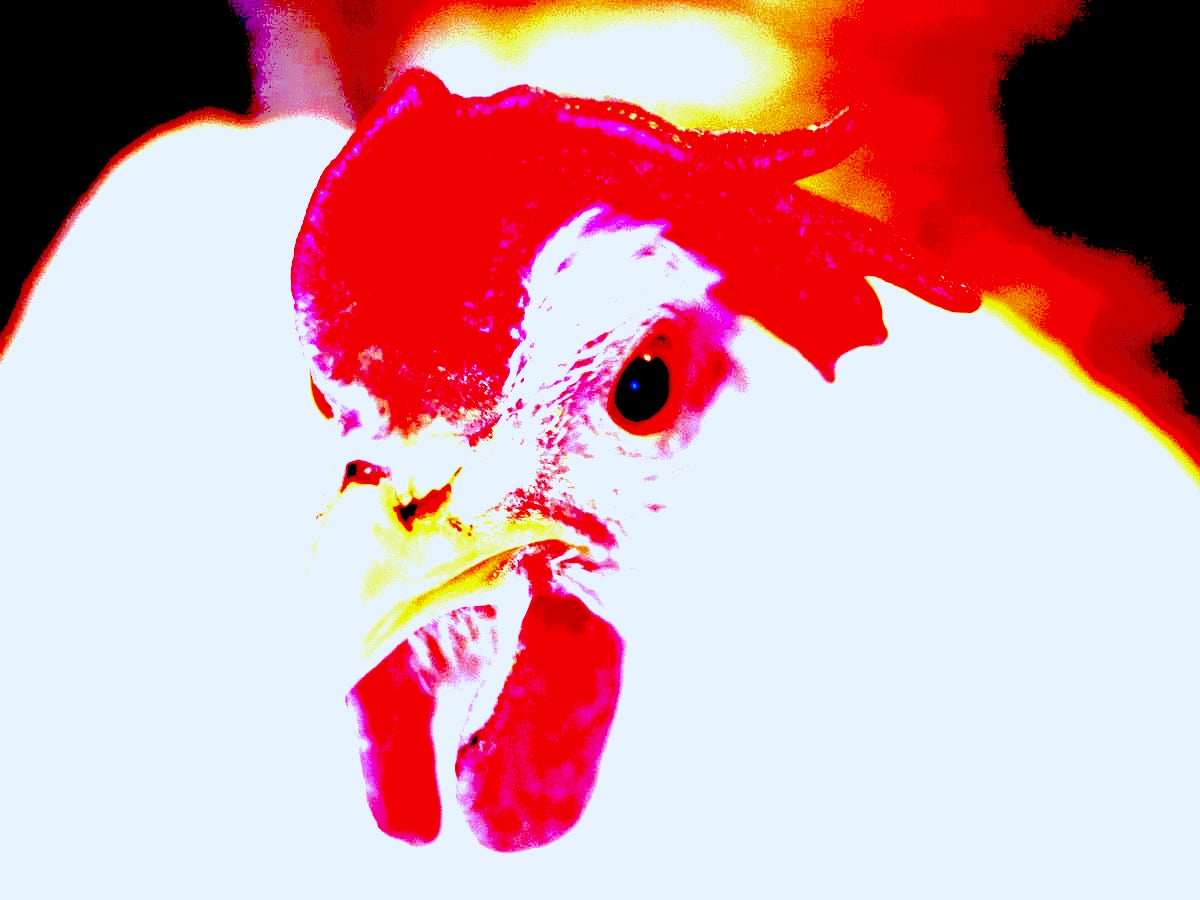 3809.jpg?ixlib=rails 2.1