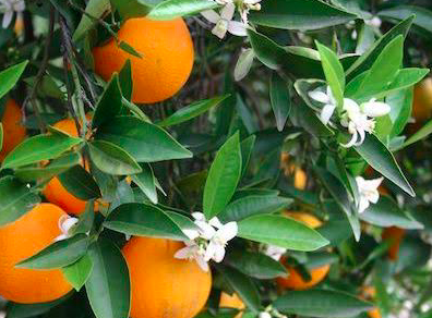 Screen shot 2022 03 24 at 8.34.32 pm.png?ixlib=rails 2.1