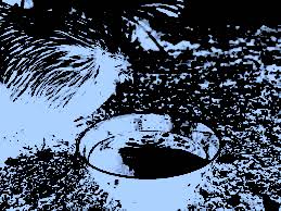 Unknown 33.jpeg?ixlib=rails 2.1