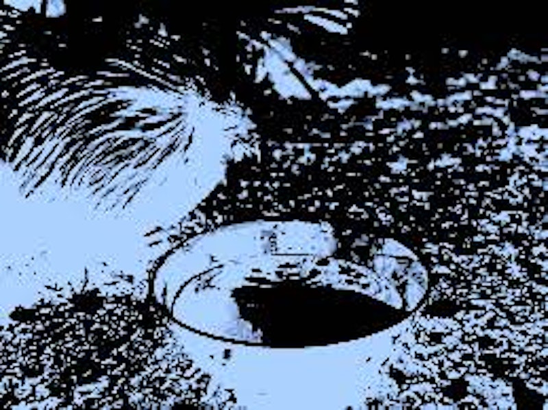 Unknown 33.jpeg?ixlib=rails 2.1