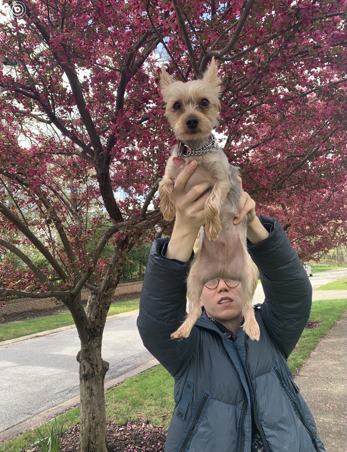 4dd1af7c ddeb 4cfb b77c 18a192669fbf.jpeg?ixlib=rails 2.1