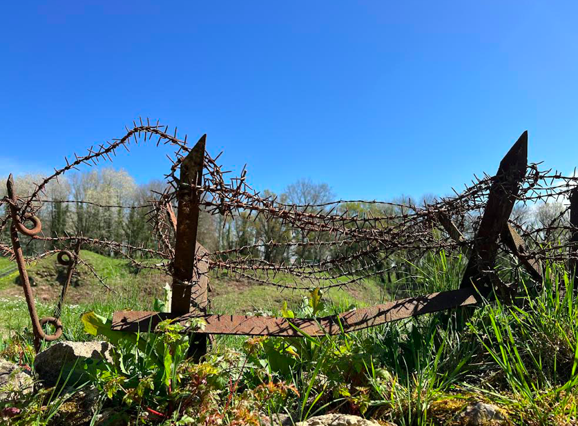 Screen shot 2022 04 26 at 5.56.34 pm.png?ixlib=rails 2.1