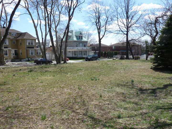 Beech1 2.jpg?ixlib=rails 2.1