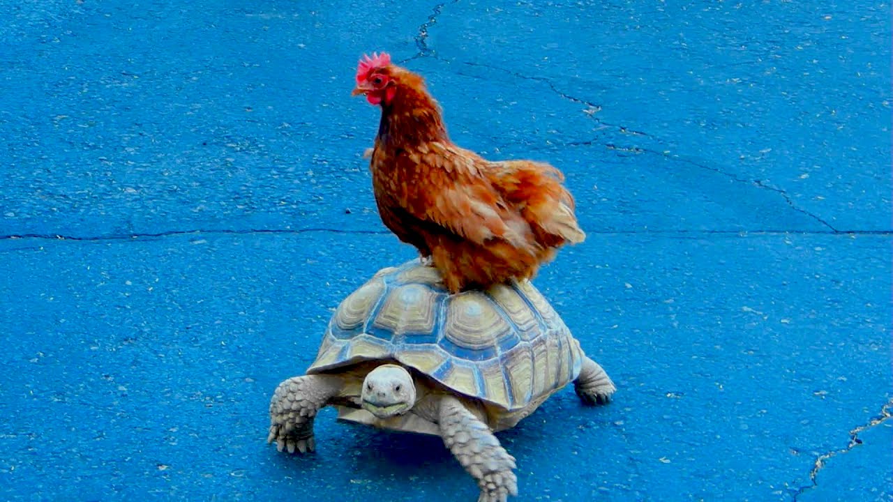 Maxresdefault 54.jpg?ixlib=rails 2.1